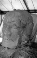 Head 1999